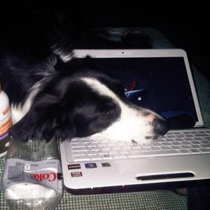 Meet your Posher, T gail